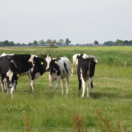 Hof Becker - Weidenblick *